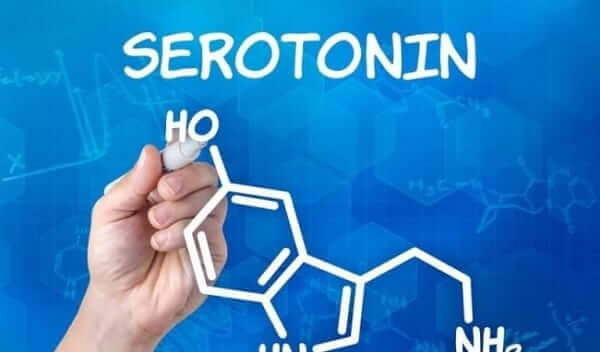 Hormone Serotonin & Hội Chứng Serotonin Tác Đông Lên Cơ Thể Người